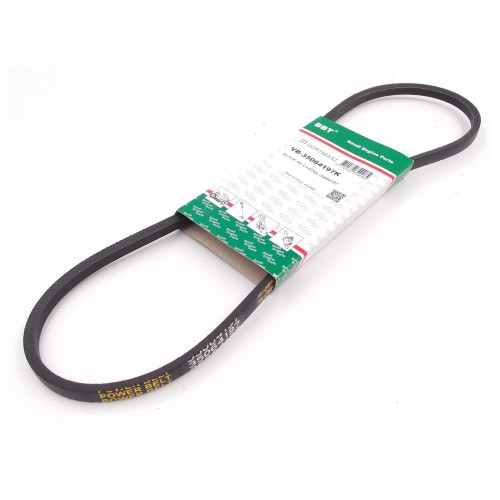 Przejdź do produktu PASEK KLINOWY CASTEL GARDEN 10 X 885 Li NP534TR/TR-4