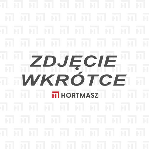 Przejdź do produktu ZAWÓR SSĄCY B&S  450E, 575EXi, KOMPLET 