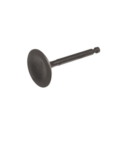 Przejdź do produktu KOMPLET ZAWORÓW SILNIKA LC1P70FC