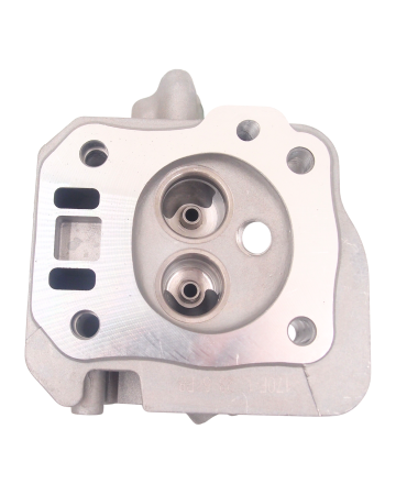 GŁOWICA CYLINDRA DO SILNIKA WM 170F/P (HGS 900)