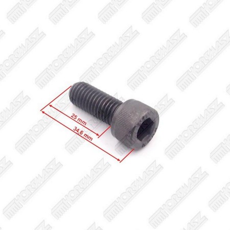 ŚRUBA M10 x 25 mm Z GNIAZDEM SZEŚCIOKĄTNYM