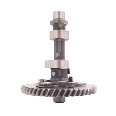 WAŁEK ROZRZĄDU SILNIKA 170F ( HGS ST255 HS2008).JPG