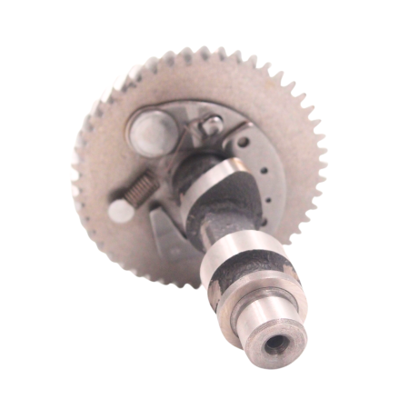 WAŁEK ROZRZĄDU SILNIKA 170F ( HGS ST255 HS2008).JPG