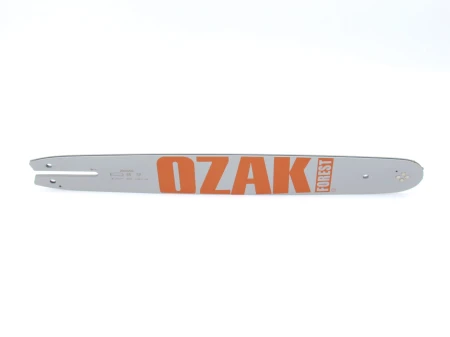 OZAKI ZKG40.JPG