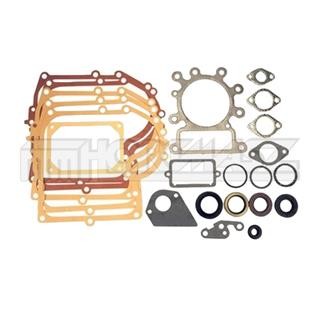 Przejdź do produktu KOMPLET USZCZELEK B&S 13-15 KM 495993, 691580, 23-13210