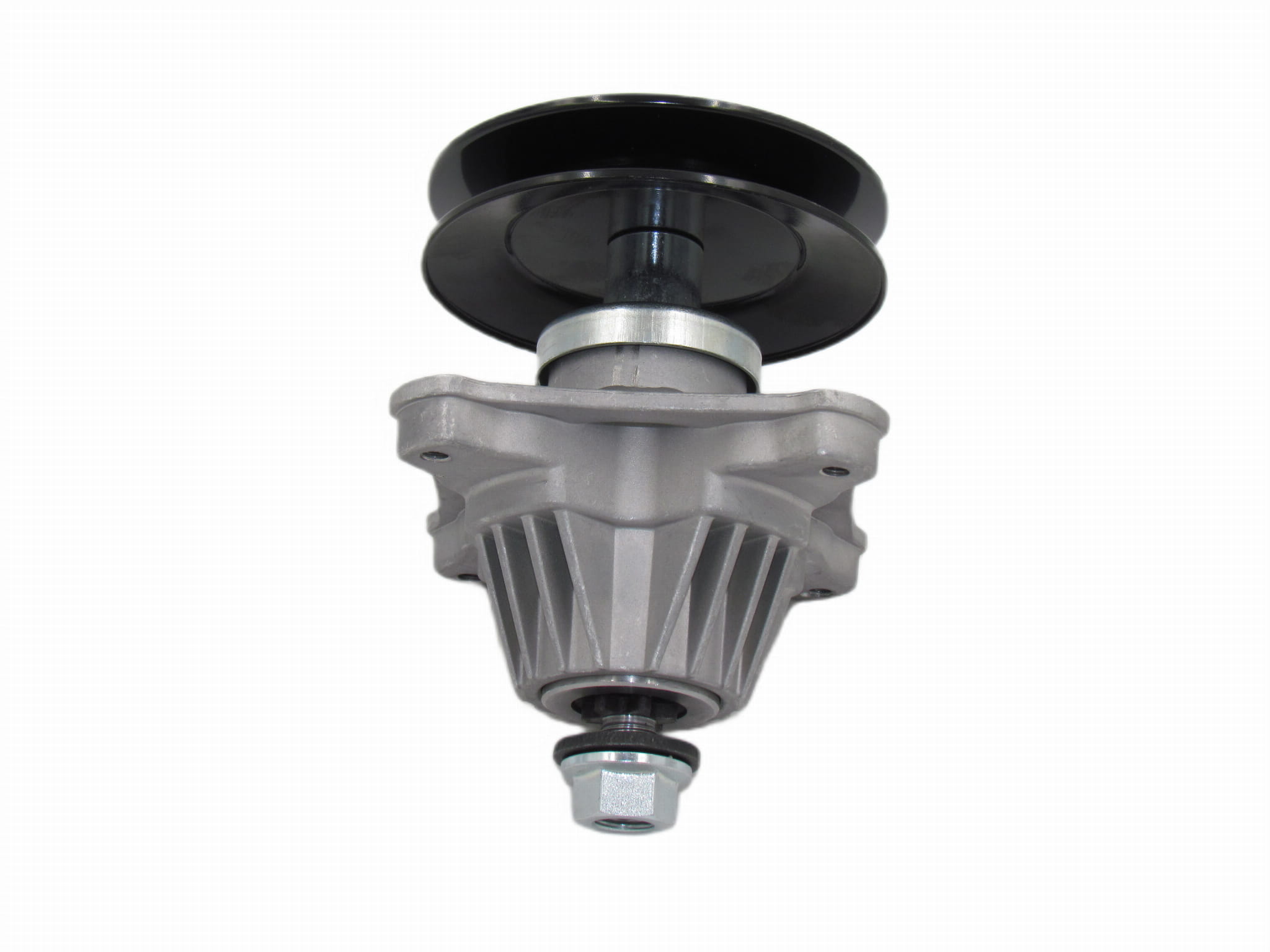 IMG_0178-photoaidcom--photoaid-remove-background (1).JPG